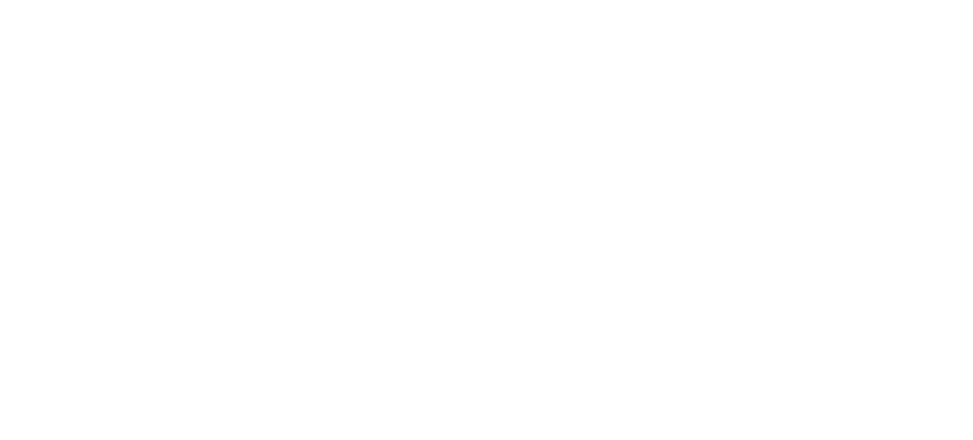 Mauritius Longevity Summit